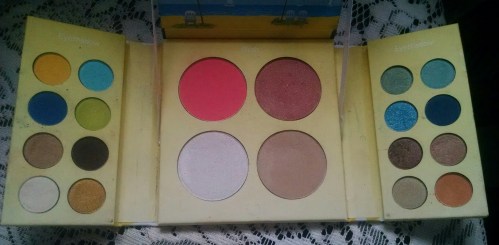 Dolphins eye and cheek