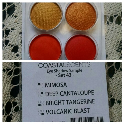 Winter Survival Again Sample