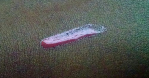 February Birchbox Swatch